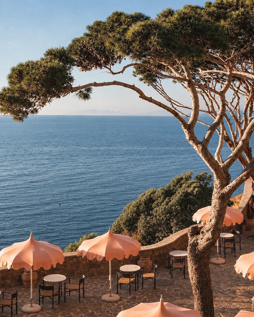 Pini marittimi a picco sul mare e gli ombrelloni color pesca di una terrazza, in Costa Azzurra