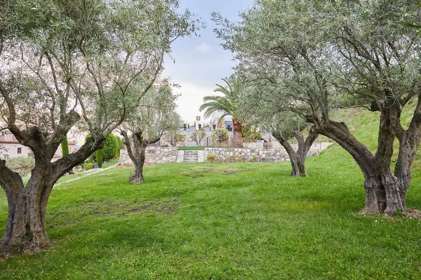 Villa Laurelis, photo 11